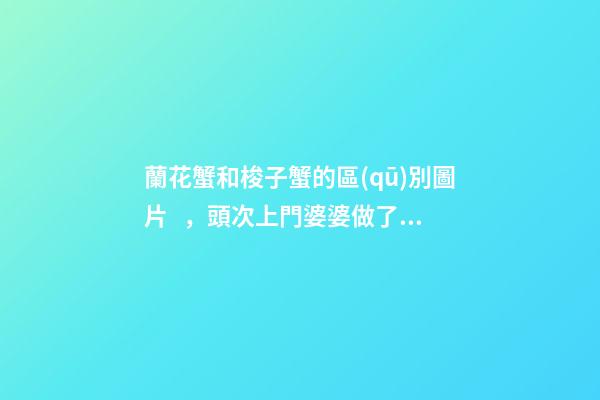 蘭花蟹和梭子蟹的區(qū)別圖片，頭次上門婆婆做了一桌菜-第1張-觀點-玄機派